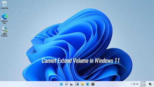 Cannot extend volume